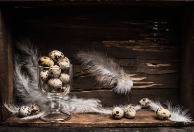 bıldırcın yumurtası cam 