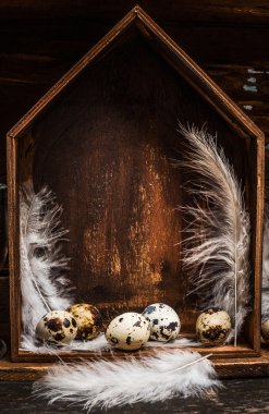 Tüylü bıldırcın yumurtaları. 