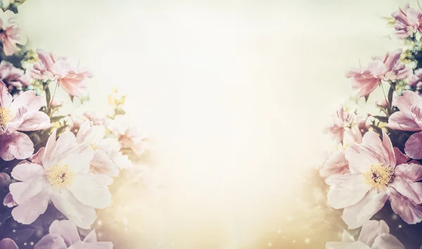 핑크 파스텔 꽃 배경 — 스톡 사진