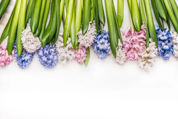 Tender hyacinter blommor — Stockfoto