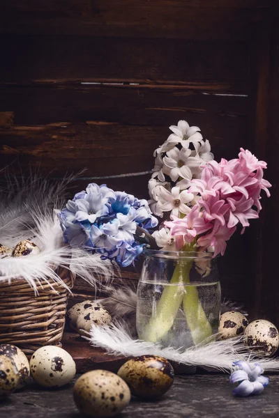 Hyacinths with quail eggs and feathers — Stock Photo, Image