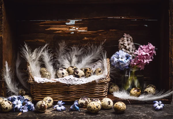 Quail eggs with feathers and hyacinths — Stock Photo, Image