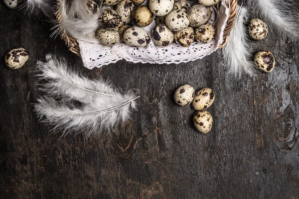 Корзина с перепелиными яйцами — стоковое фото