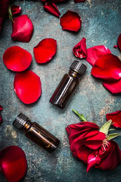 Roses essential oil with petals — Stock Photo, Image