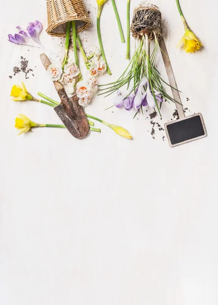 Flores y herramientas de jardinería —  Fotos de Stock