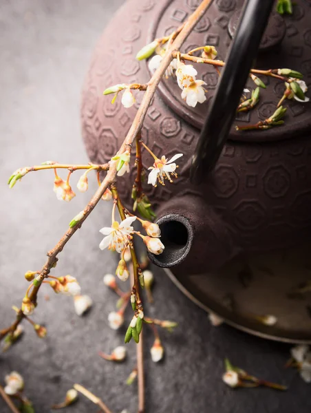 Verschütteter grüner Tee mit Jasmin — Stockfoto