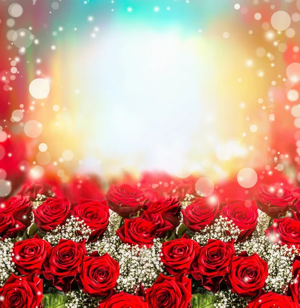 Rode rozen in zonlicht — Stockfoto