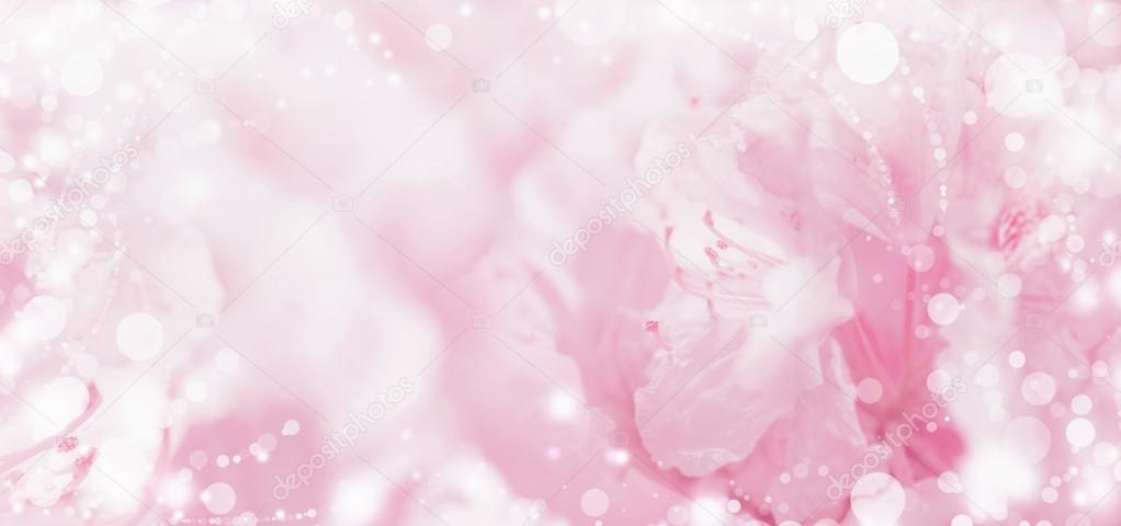 500 Pastel Floral Wallpapers Background Beautiful Best Available For Download Pastel Floral Images Free On Zicxacomphotos Zicxa Photos