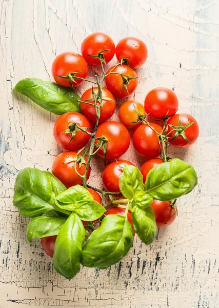 Cherry tomatoes with bunch of basil — Stock Photo, Image