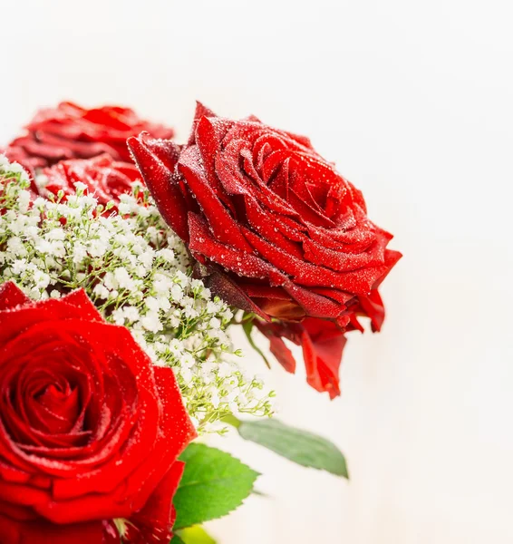 Red roses in sunlight — Stock Photo, Image