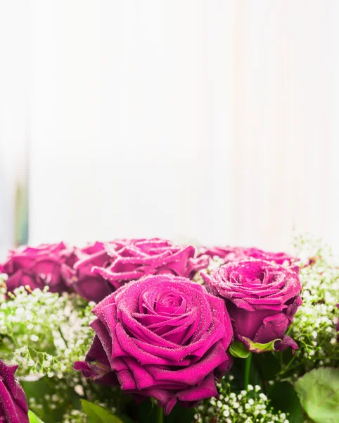 Rosas rojas a la luz del sol —  Fotos de Stock