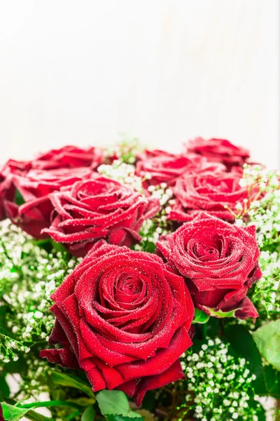 Rosas rojas a la luz del sol — Foto de Stock