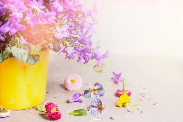 Flower pot with bell flowers — Stock Photo, Image