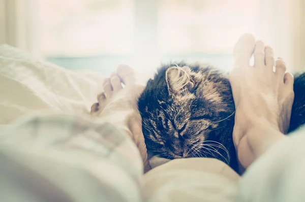 Katt av kvinnliga fötter i sängen — Stockfoto