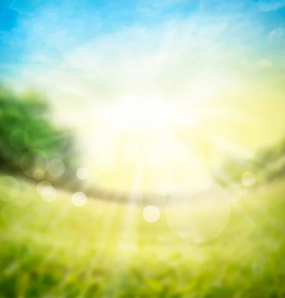 Borrosa primavera verano naturaleza fondo con prado verde, árboles en el horizonte y rayos de sol con bokeh — Foto de Stock