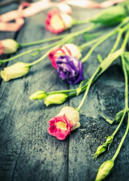 Ροζ και μπλε λουλούδια κήπων στο παλιό ξύλινο τραπέζι, τόνωση — Φωτογραφία Αρχείου