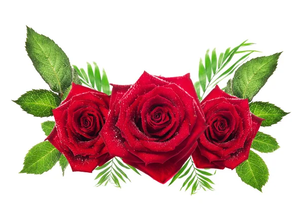 Τρία κόκκινα τριαντάφυλλα με φύλλα σε άσπρο φόντο, αντικείμενο λουλούδια — Φωτογραφία Αρχείου