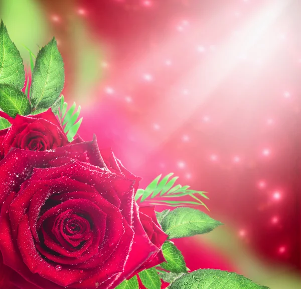 Red roses background with light and bokeh, holiday floral border — Stock Photo, Image