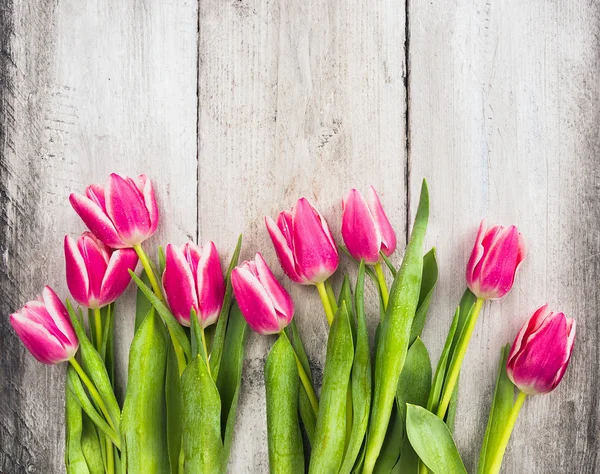 Roze verse tulpen bloemen op grijze houten achtergrond — Stockfoto