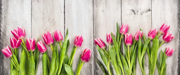 Roze tulpen op witte houten achtergrond, banner — Stockfoto