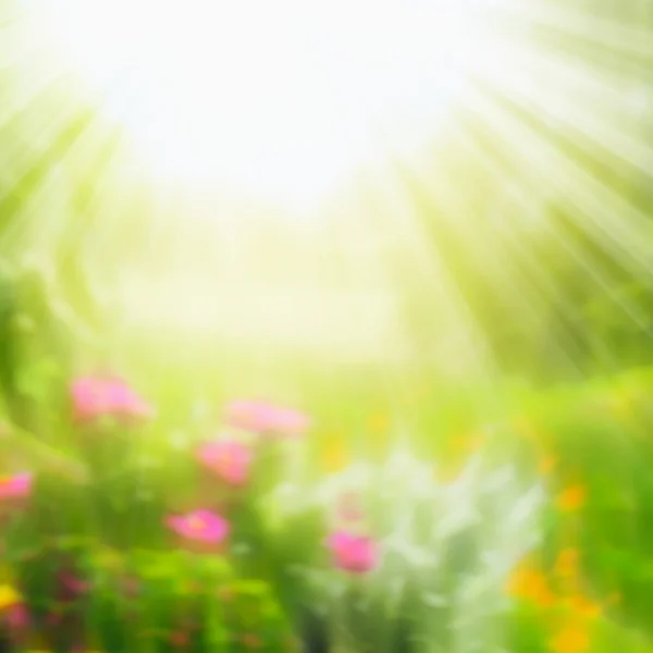 Wazig zomer aard achtergrond met zonnestralen — Stockfoto