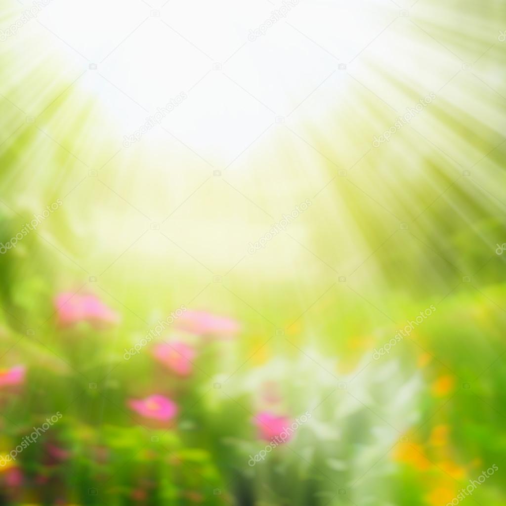 Blurred summer nature background with sun rays — Stock Photo © Vfotografie  #66144965, image size:1024x1024