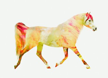 at çalışan tırıs