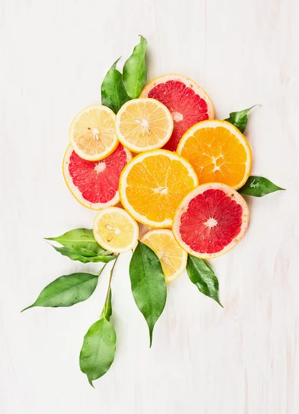 Citrusfrukter komponera — Stockfoto