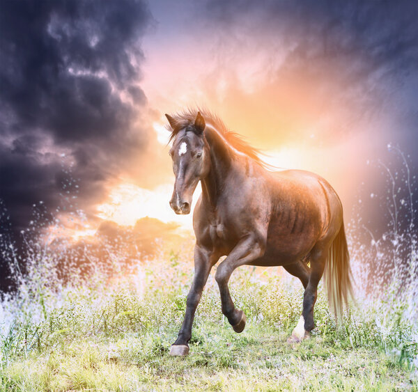 Horse running green field