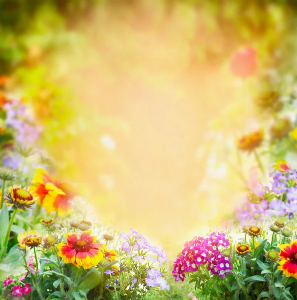 Sunny garden background — Stock Photo, Image