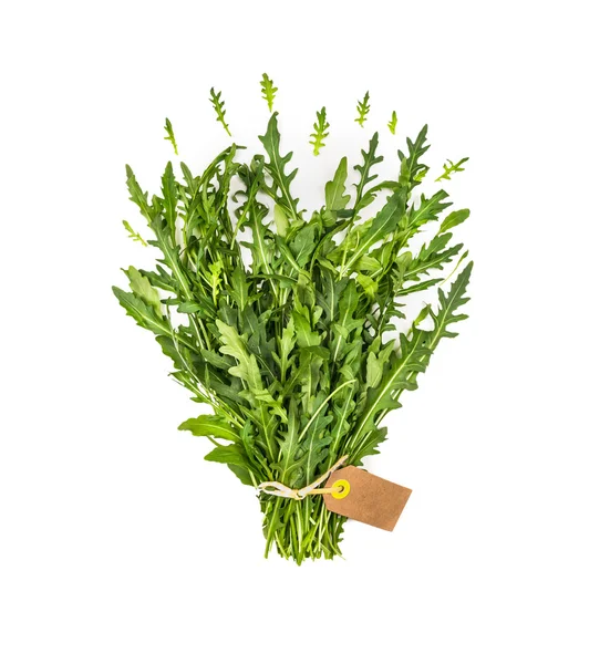 Fresh green herbs — Stock Photo, Image