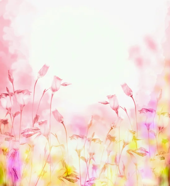 Bright pink background — Stock Photo, Image