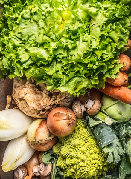 Výběr zeleniny: salát, romanesco, čekanka, witlof, endivie, cibule, houby, kedluben — Stock fotografie