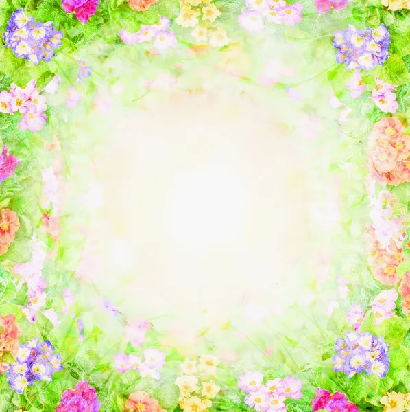 Green pink blurry floral background, flowers frame — Stock Photo, Image