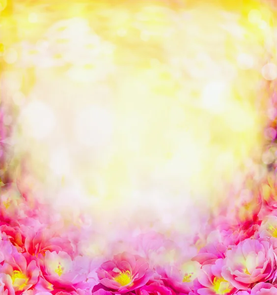 Astratto sfondo fiori — Foto Stock