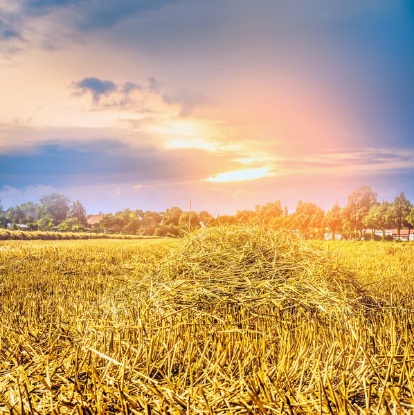 Agrarlandschaft mit Stroh — Stockfoto