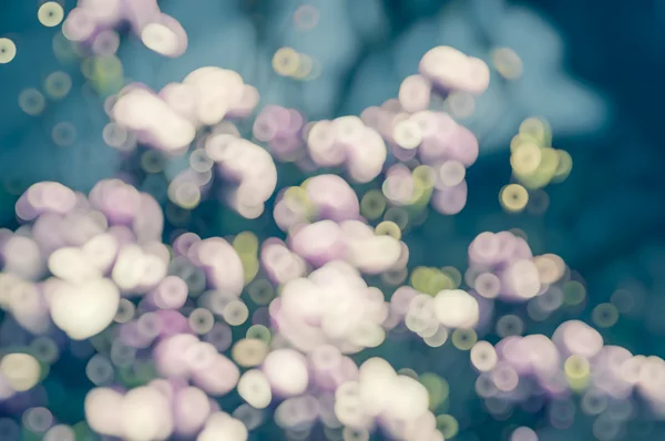 Blå Rosa suddiga blommor — Stockfoto