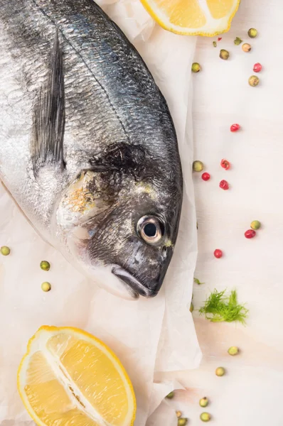 Roher Dorado-Fisch — Stockfoto