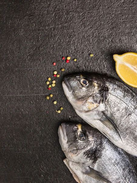 Raw dorado fish — Stock Photo, Image