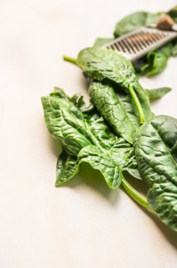 taze ıspanak yaprakları