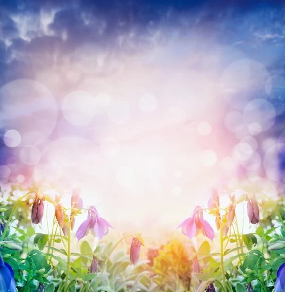 Bright nature background — Stock Photo, Image