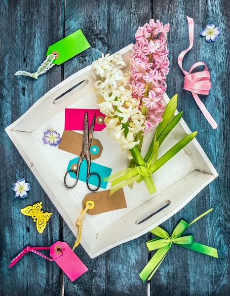 Spring flowers decoration — Stock Photo, Image