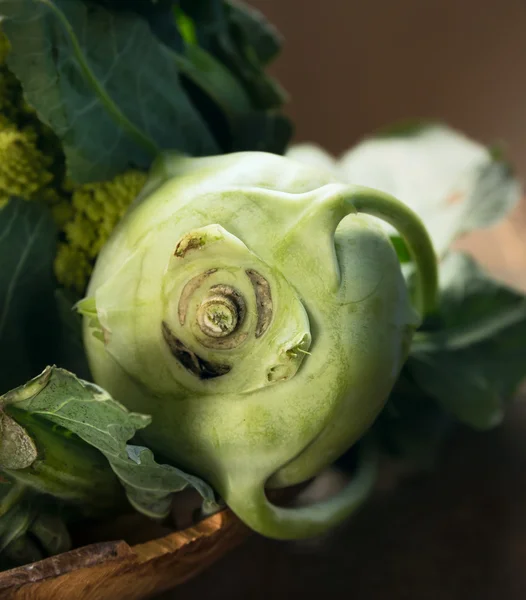 Kohlrabi di latar belakang gelap — Stok Foto