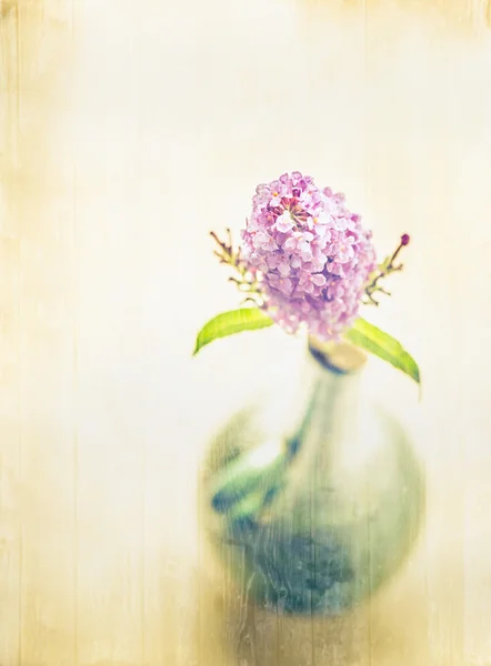 Retro vase with lilac blossom — Stock Photo, Image