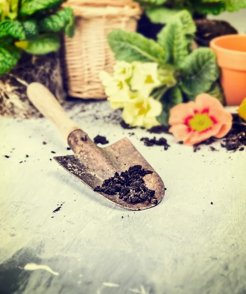 Garden scoop and flowers — Stock Photo, Image