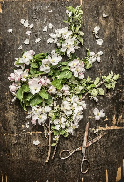 春暖花开花园 — 图库照片