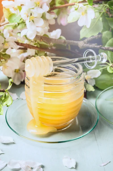 Glasburk med honung — Stockfoto