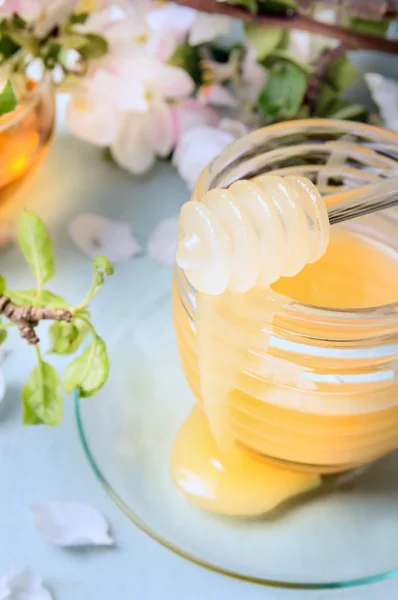 Honung med glass skopa på burk — Stockfoto