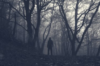 Parlayan gözlü kapüşonlu korkunç bir figür. Sisli bir günde ürkütücü bir kış ormanında dikiliyorum.
