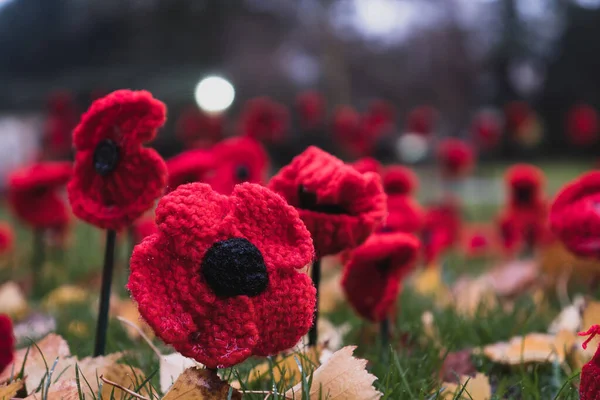 Low Angle Close Artificial Poppies Remembrance Day Great Malvern Worcestershire — Stock Photo, Image